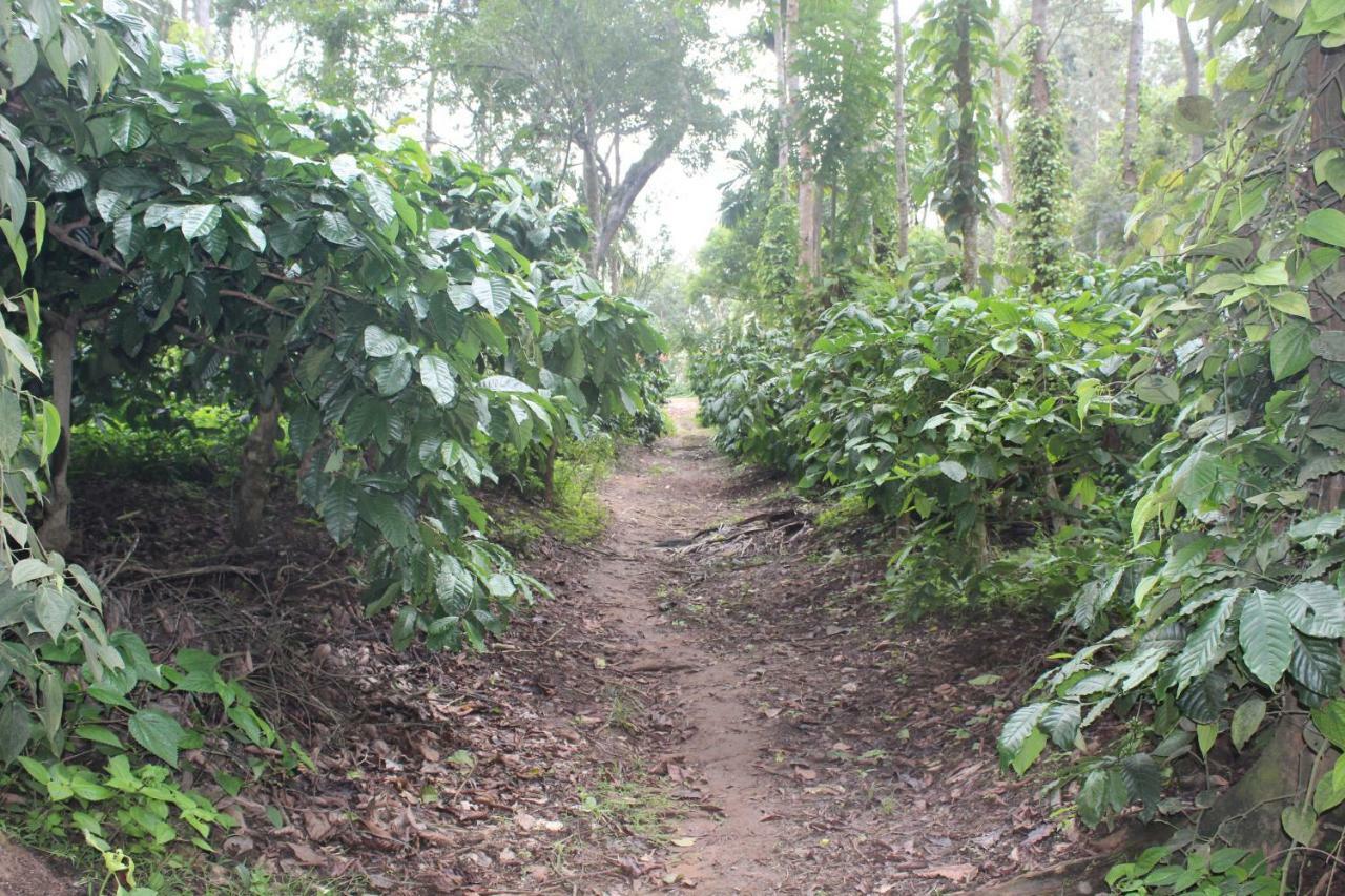 Whistling Woods Farm Stay Kushālnagar Esterno foto