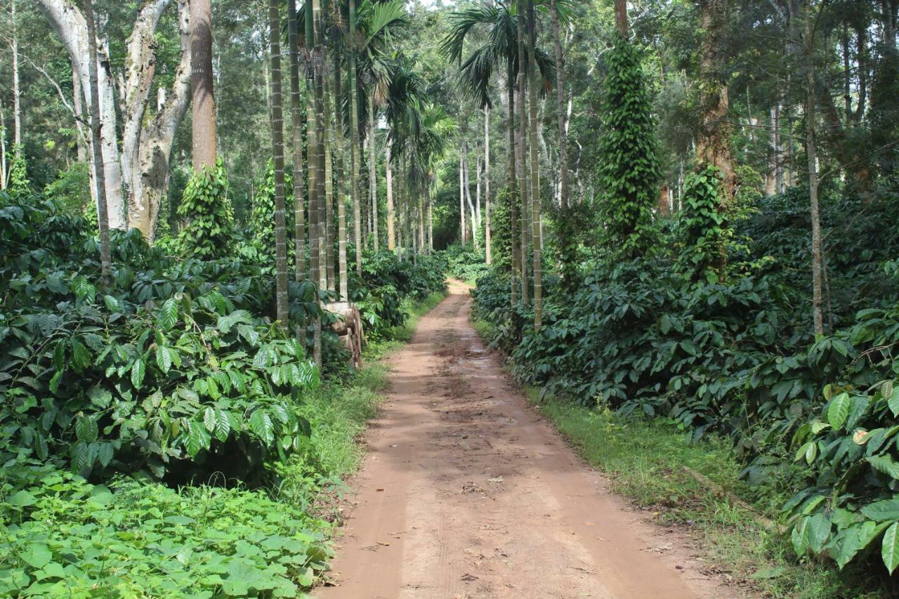 Whistling Woods Farm Stay Kushālnagar Esterno foto